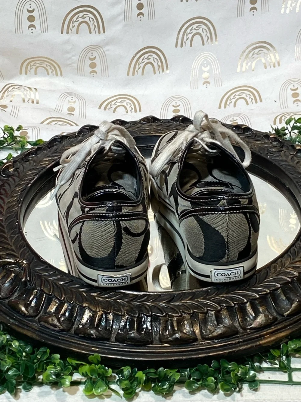 Coach low top